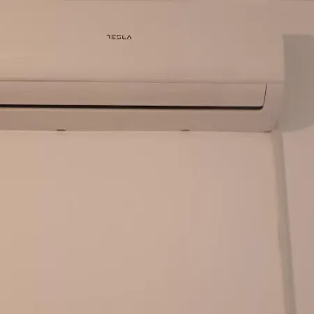 Danica * 비옐리나