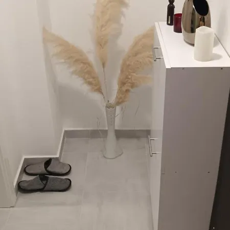 아파트 Danica 비옐리나